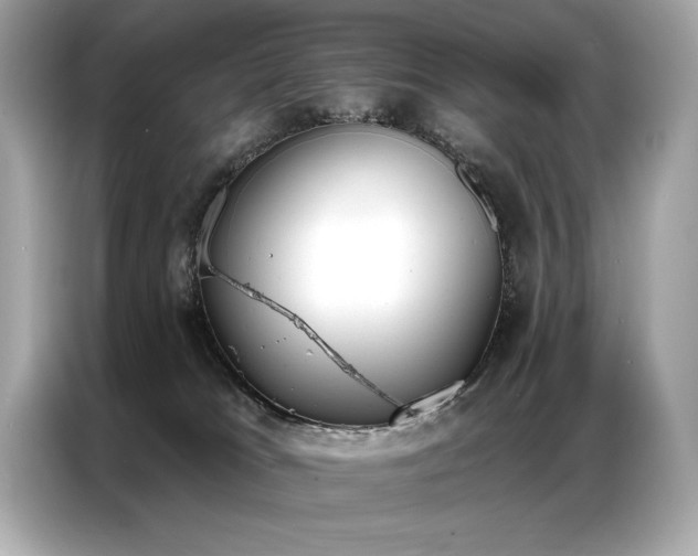 X0000087040037200704181225
