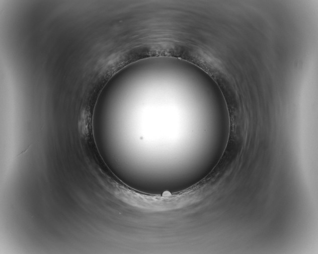 X0000087040038200704181225