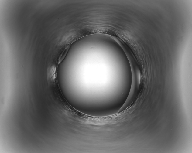 X0000087040041200704181225