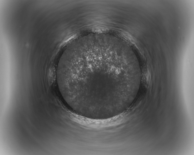 X0000087040043200704181225