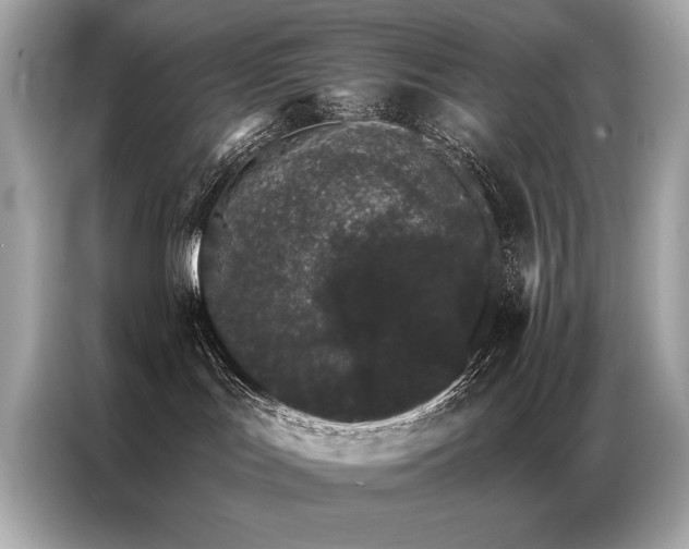 X0000087040047200704181225