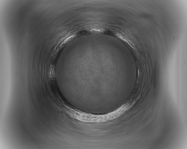 X0000087040048200704181225