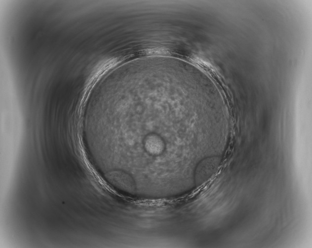 X0000087040049200704181224