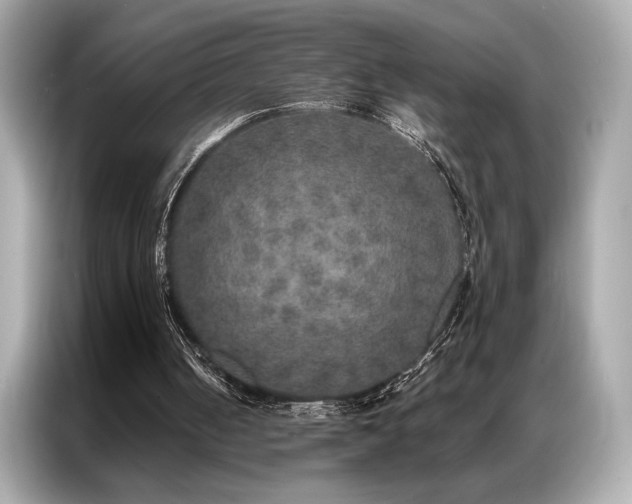 X0000087040050200704181224
