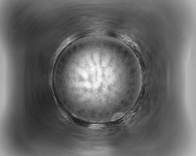 X0000087040051200704181224