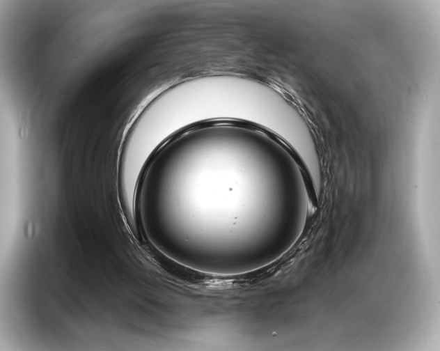 X0000087040052200704181224