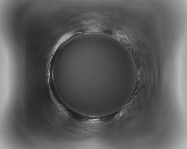 X0000087040054200704181224