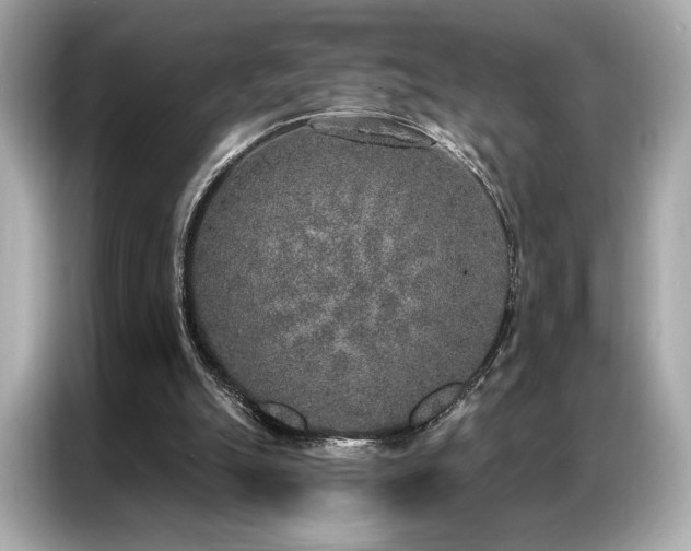 X0000087040055200704181224