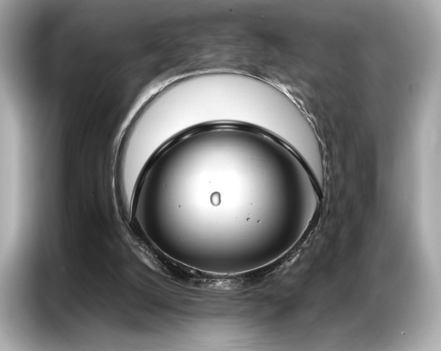 X0000087040056200704181224