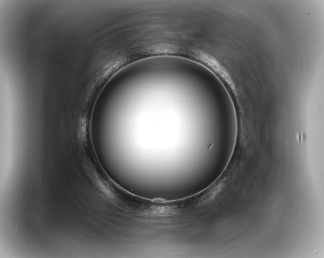 X0000087040057200704181224