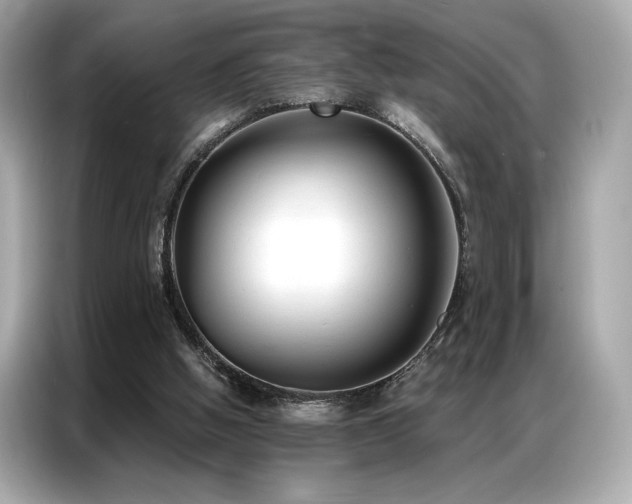 X0000087040058200704181224