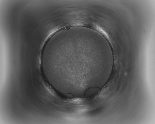 X0000087040059200704181224