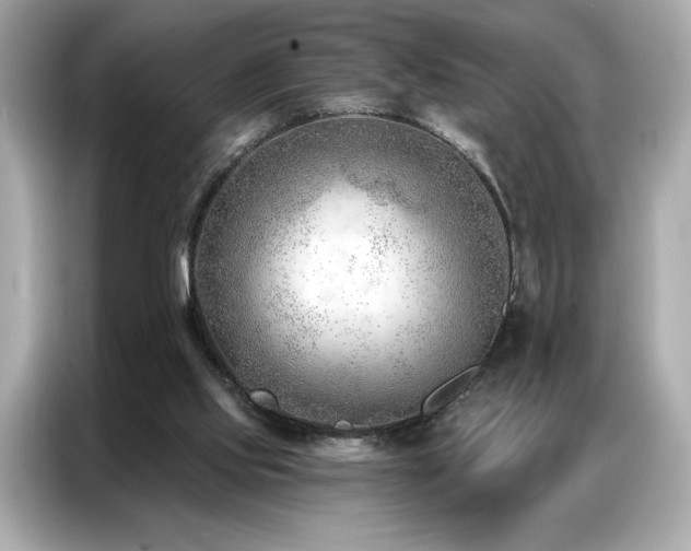 X0000087040061200704181224