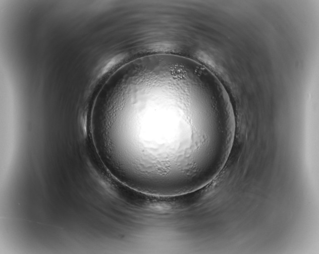 X0000087040062200704181224