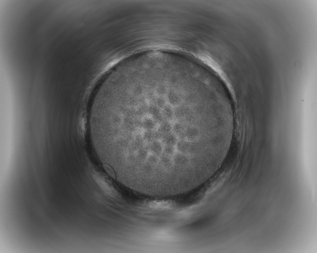 X0000087040063200704181224