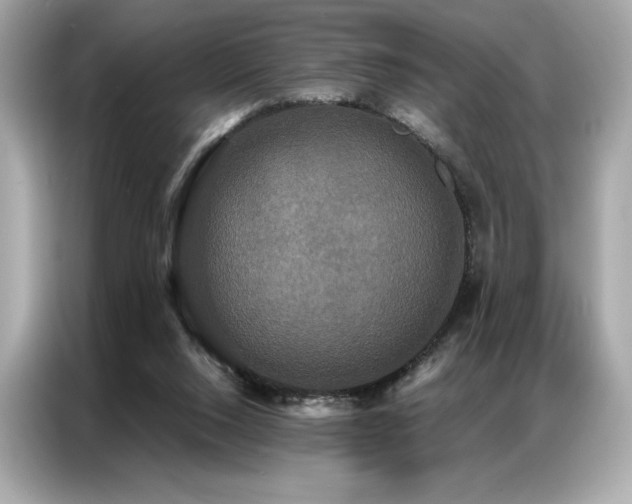 X0000087040064200704181224