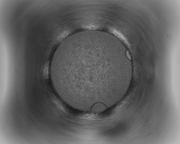 X0000087040065200704181224