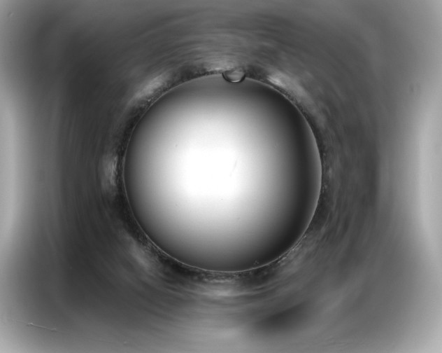 X0000087040066200704181224
