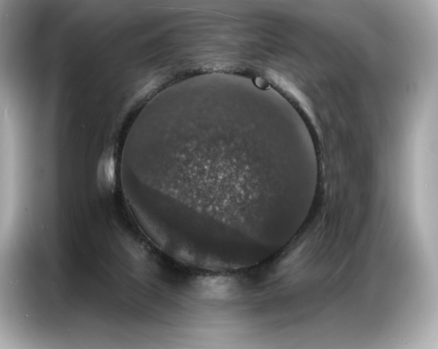 X0000087040067200704181224