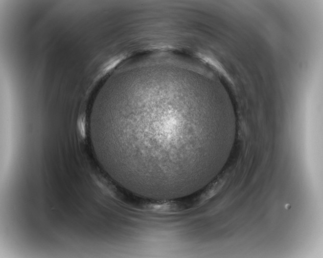 X0000087040068200704181224