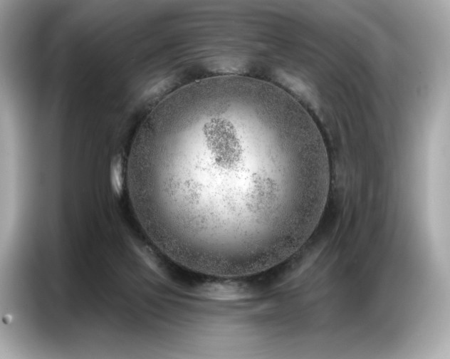 X0000087040069200704181224