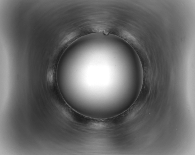 X0000087040071200704181224