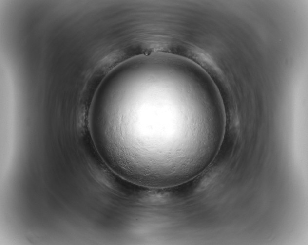 X0000087040073200704181224