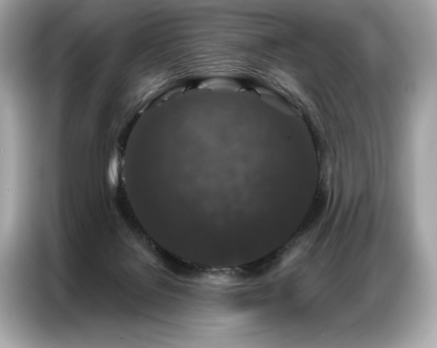 X0000087040076200704181224