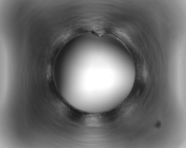 X0000087040077200704181224