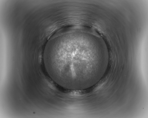X0000087040080200704181224