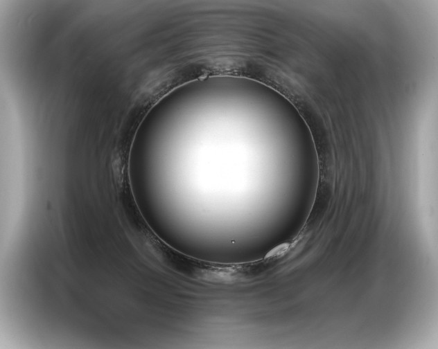 X0000087040086200704181225