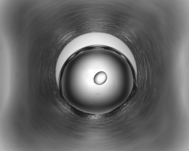 X0000087040092200704181225