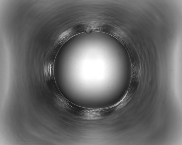 X0000087040094200704181225