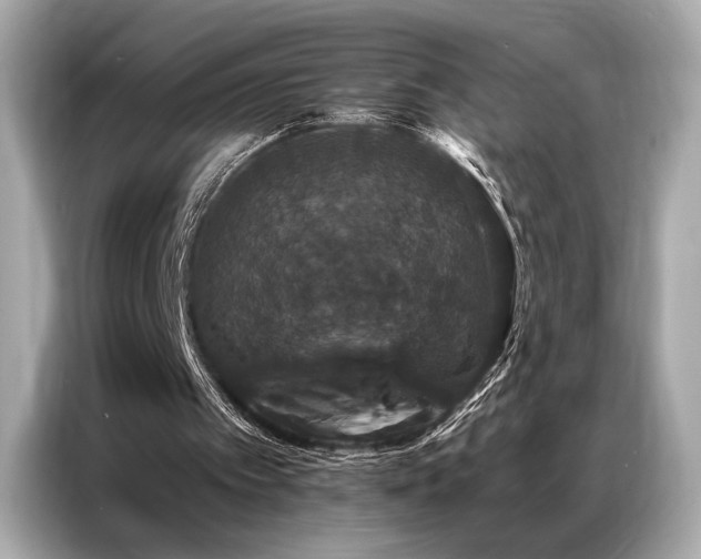 X0000087040097200704181224