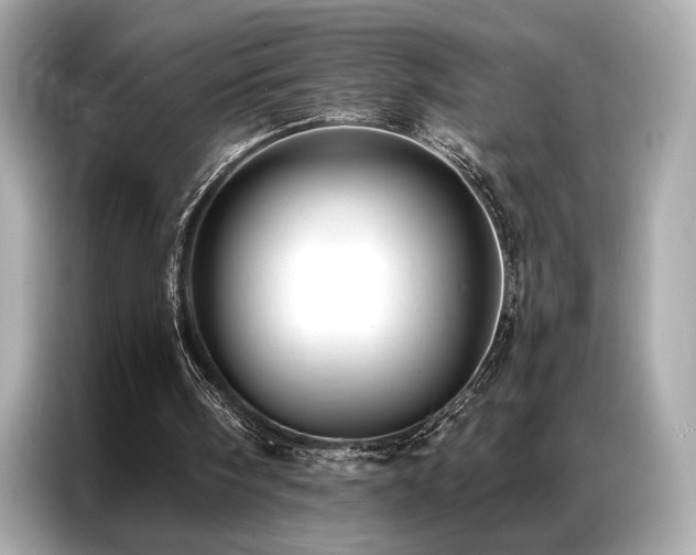 X0000087040098200704181224