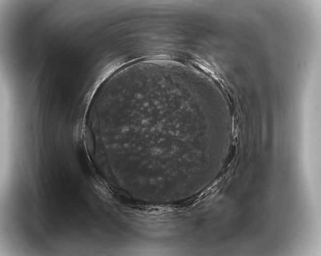X0000087040099200704181224