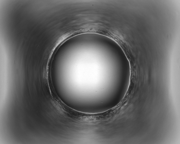 X0000087040100200704181224