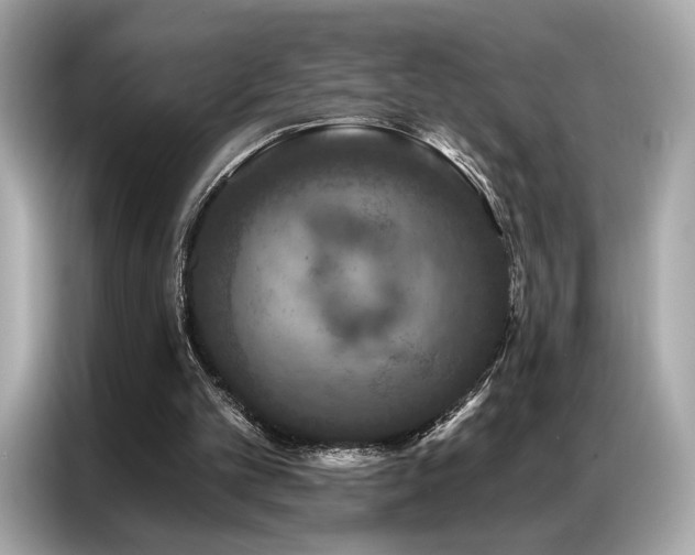 X0000087040101200704181224
