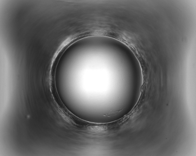 X0000087040102200704181224