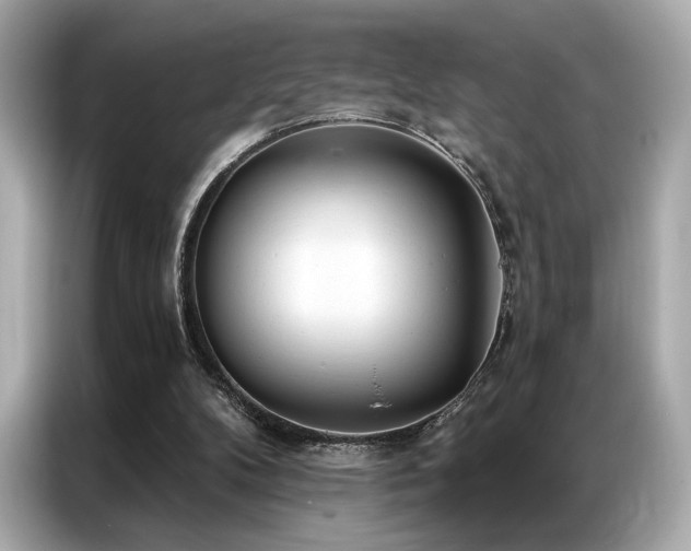 X0000087040104200704181224