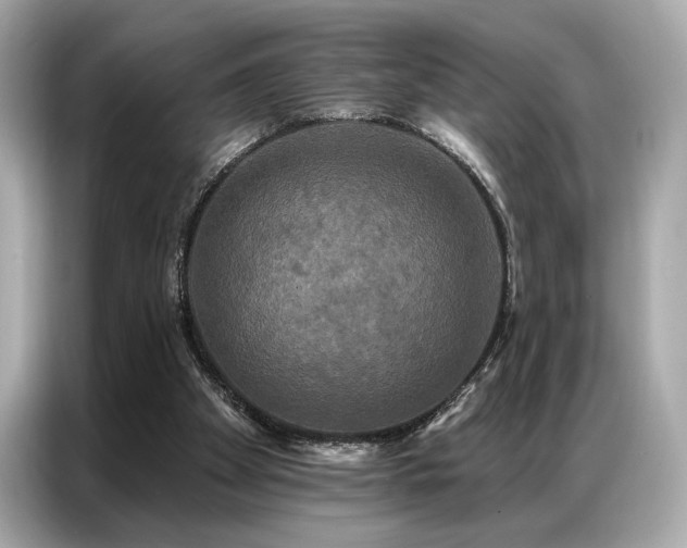 X0000087040105200704181224