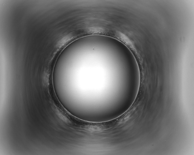 X0000087040106200704181224