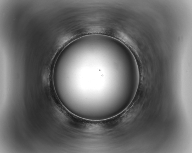 X0000087040107200704181224