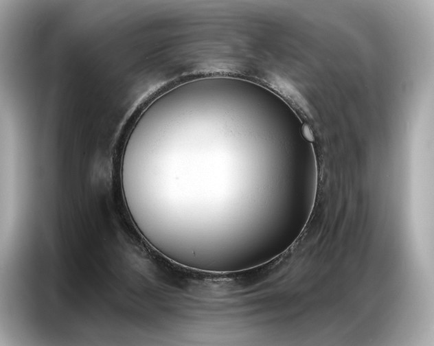 X0000087040108200704181224