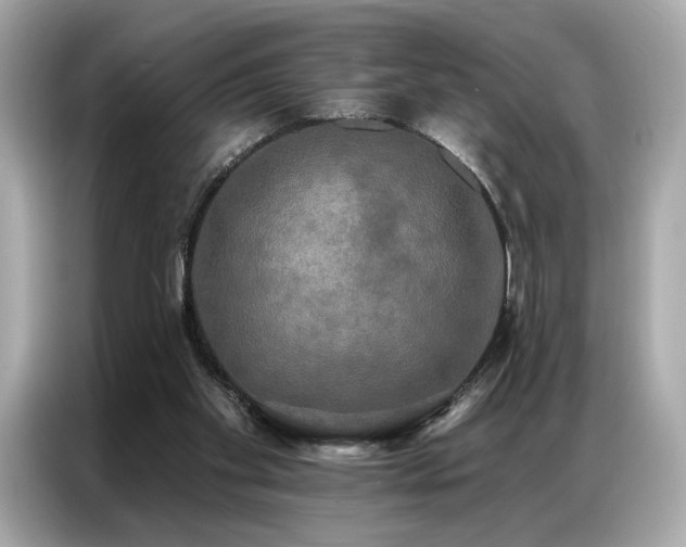 X0000087040109200704181224