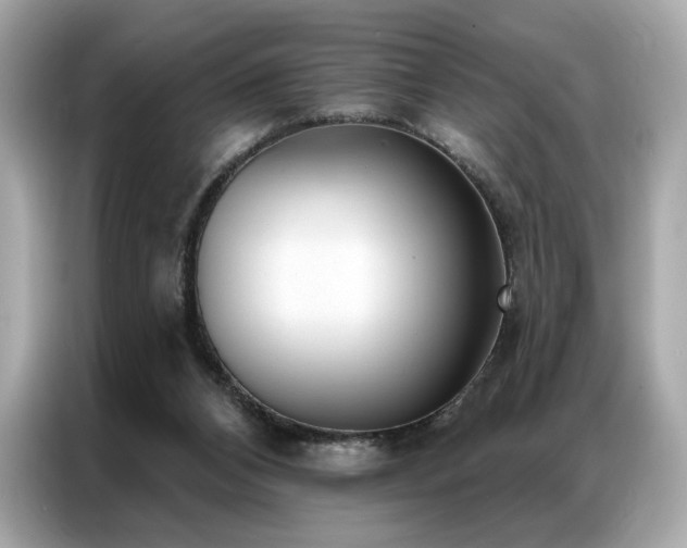 X0000087040112200704181224