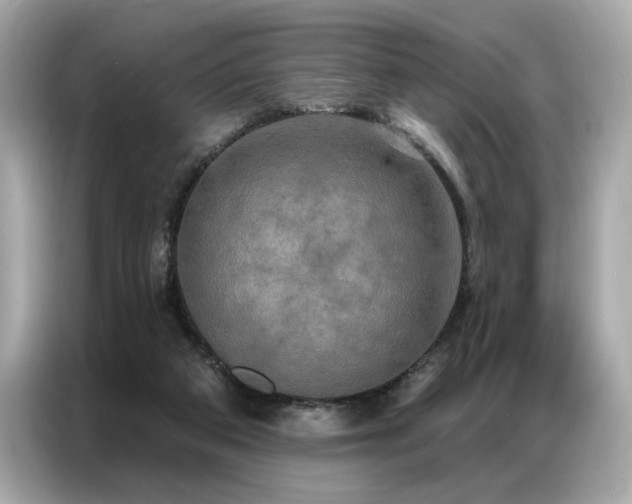 X0000087040113200704181224