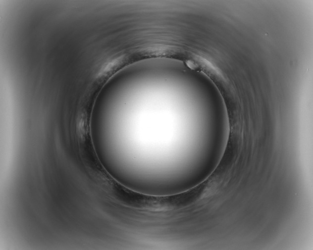 X0000087040119200704181224