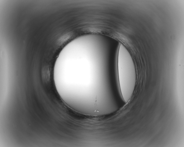 X0000087040120200704181224