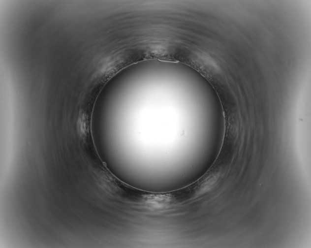 X0000087040135200704181223